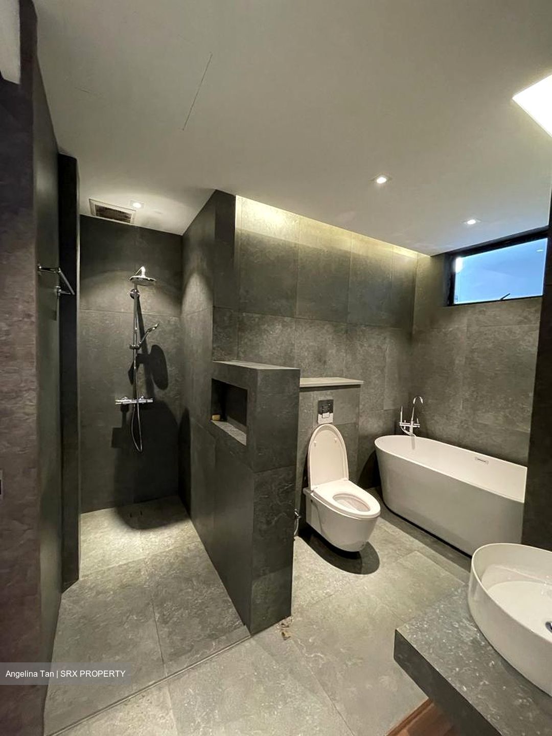 Dynasty Lodge (D10), Apartment #522891171